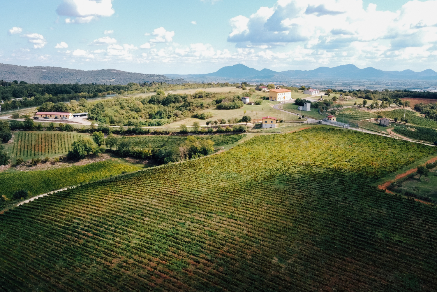 Colli Berici Colli Berici